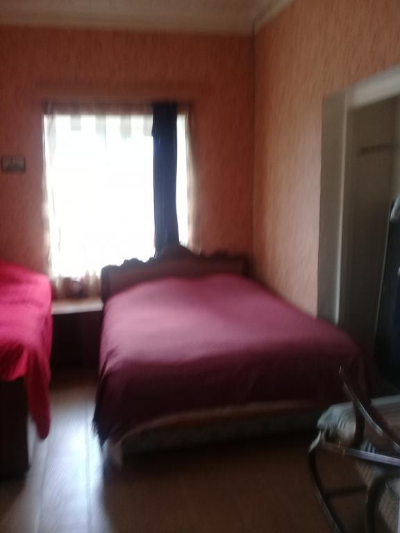 Tlt Guest House Telavi Esterno foto