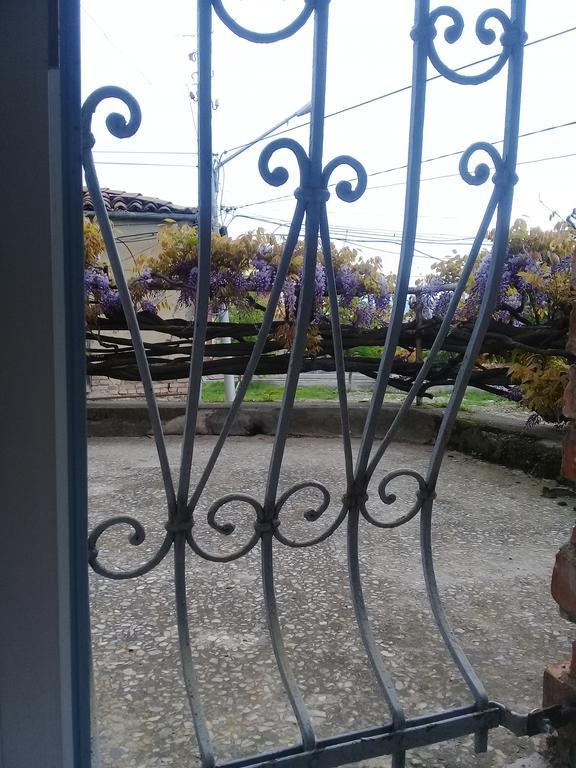 Tlt Guest House Telavi Esterno foto
