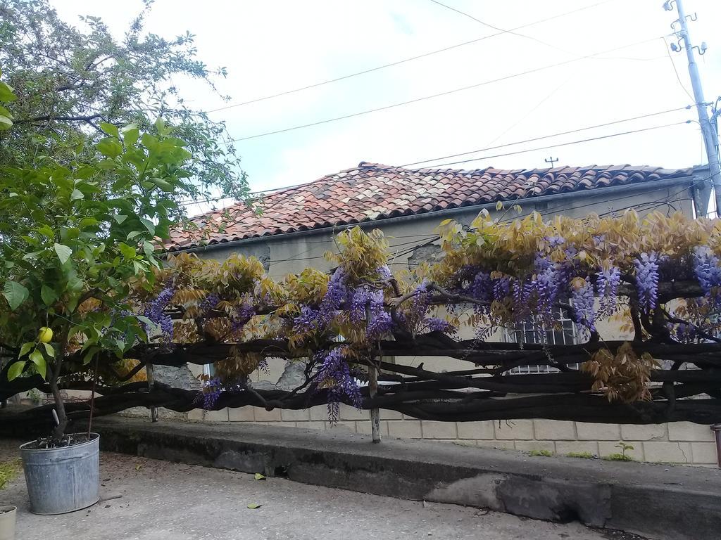 Tlt Guest House Telavi Esterno foto